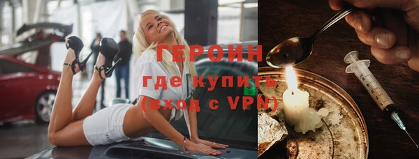 шишки Няндома