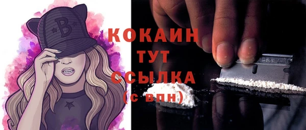 сатива Новодвинск