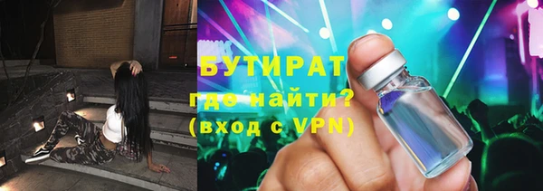 шишки Няндома