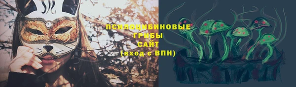 шишки Няндома