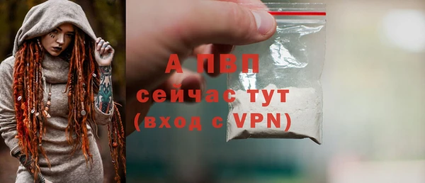 прущие грибы Нягань