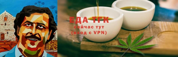 шишки Няндома