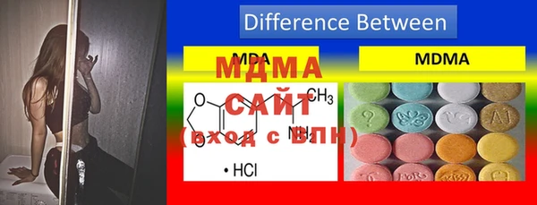 шишки Няндома