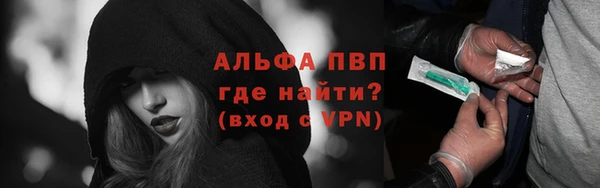 шишки Няндома