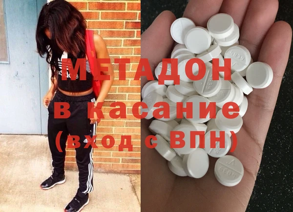 шишки Няндома