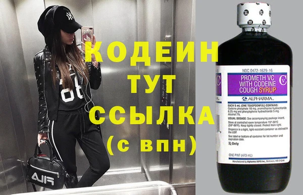прущие грибы Нягань