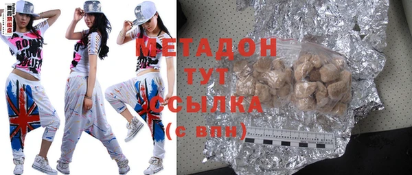 шишки Няндома
