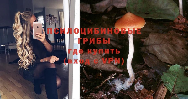 мдпв Осташков