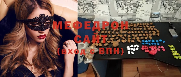 шишки Няндома