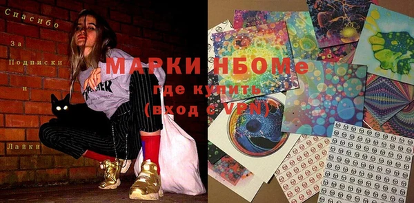шишки Няндома